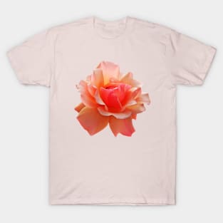 Pink Rose Blooming T-Shirt